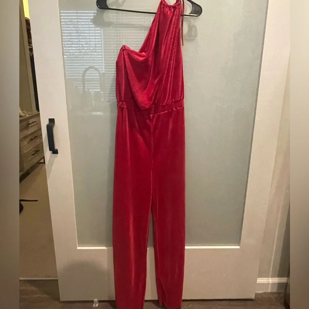 NEW Raspberry Jumpsuit - Picture 3 of 8